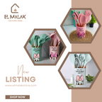 طقم توزيع ديزني